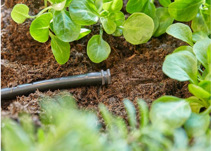 Produktbild Gardena Verschlussstopfen 4,6 mm (Tropfbewässerung Verbinder + Abzweiger)