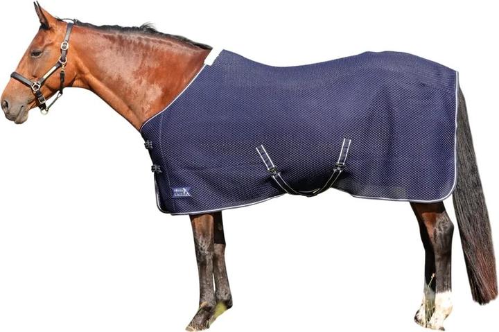 Actual product image Storm X Empra Standard-Neck 3D AirFlex Horse Turnout Rug (206 cm)