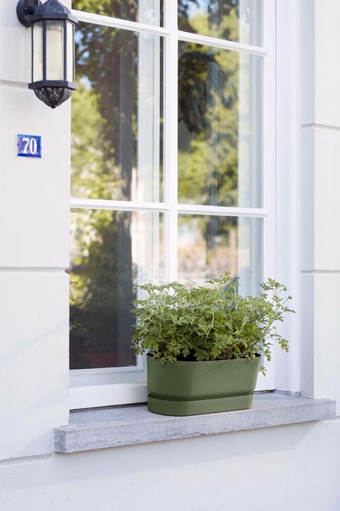 Image du produit Elho Greenville (20 cm)
