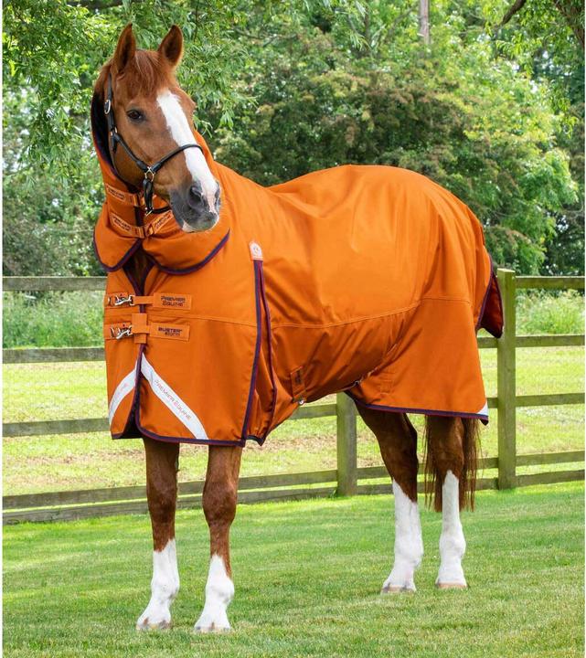 Immagine prodotto Premier Equine Buster Combo 200g (168 cm)