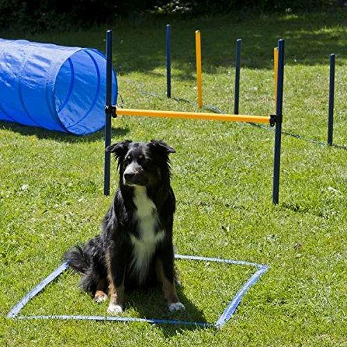 Actual product image Petcenter XXL agility set - 1 tunnel 60x152 cm, 8 slalom poles, 2 jumps, 1 boxing band (One size, Agility)