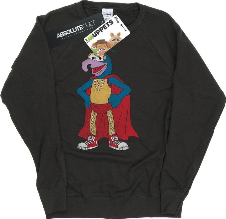 Gildan Classic Sweatshirt (M)