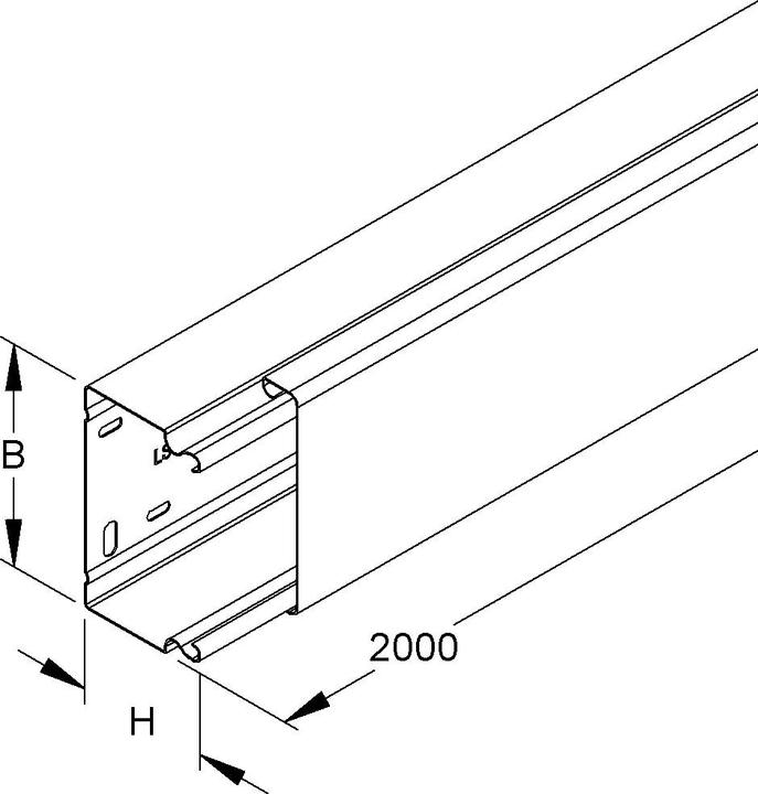 Produktbild Niedax NIE LLK60.100R Leitungsschutzkanal mit Deckel 60x100x2000mm pulverbesch. (200 cm)