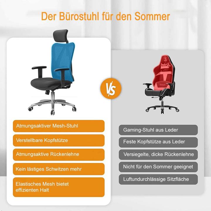 Actual product image Sihoo Office chair with lumbar support