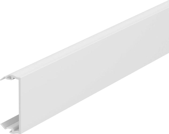 Actual product image OBO Bettermann Top part Rapid 45-2 45x2000, PVC, 6113010 (200 cm)