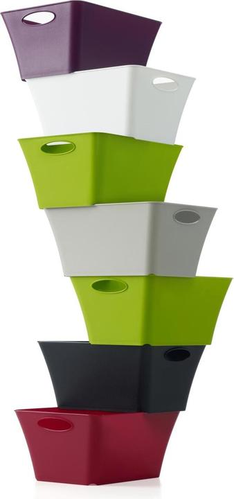 Image du produit Rotho Livingbox (26 x 19.2 x 36.5 cm, 11 l)