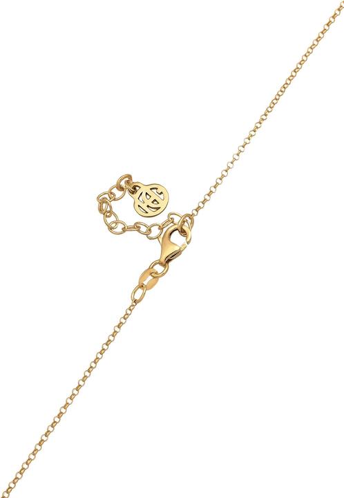 Produktbild Haze & Glory Plättchen (peridot, 925 Sterling Silber vergoldet, Citrin)