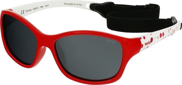 Actual product image Invu Inquirer (1-3)
