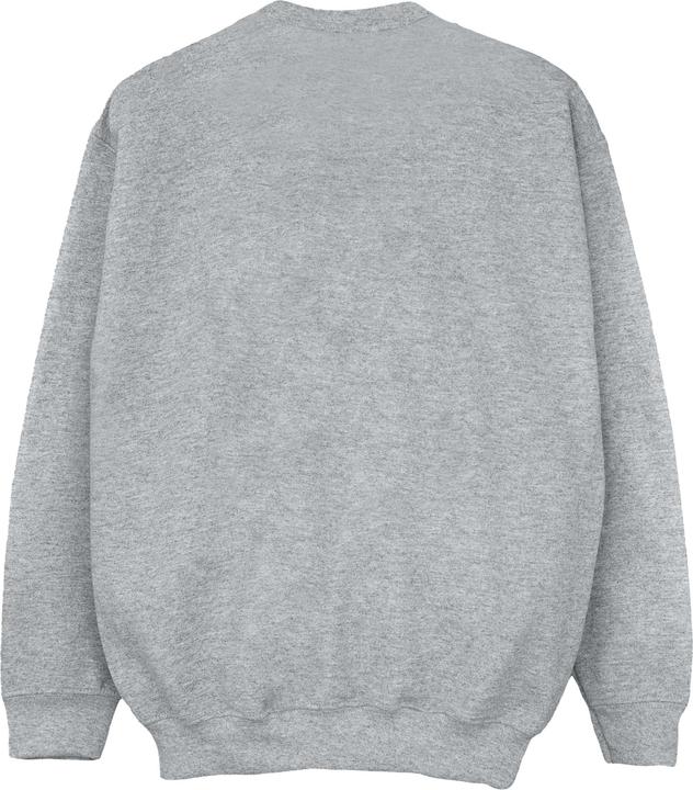 Image du produit Disney - Sweat BIG HERO BAYMAX BAYMAX NEWSPAPER - Garçon (104)