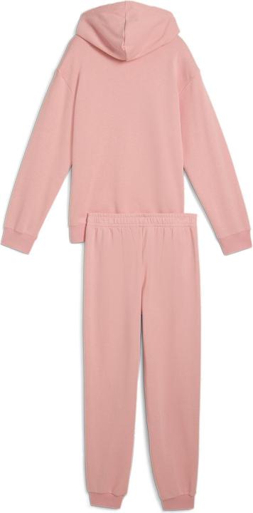 Image du produit Puma Loungewear Suit TR G (164)