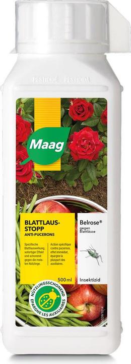 Actual product image Maag Belrose (Aphids)