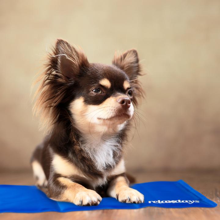 Actual product image Relaxdays Dog Cooling Mat, Blue (Dog)