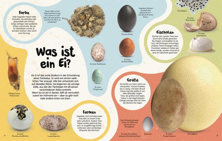 Produktbild Aus dem Ei (Deutsch)