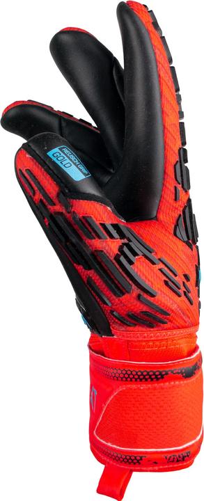Actual product image Reusch Attrakt Freegel Gold Finger Support Goalkeeper Glove (8)