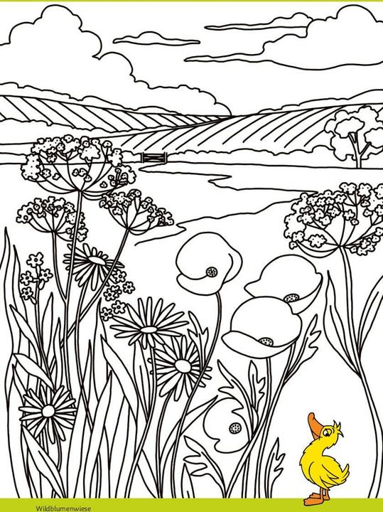 Actual product image Die Maus - Malblock mit Sachwissen Klima und Erde (German, pen2nature, Fiona Osbaldstone, 2024)