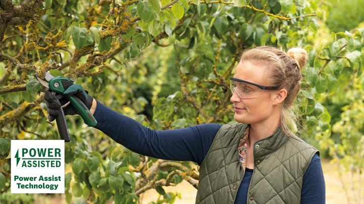 Actual product image Bosch Home & Garden EasyPrune
