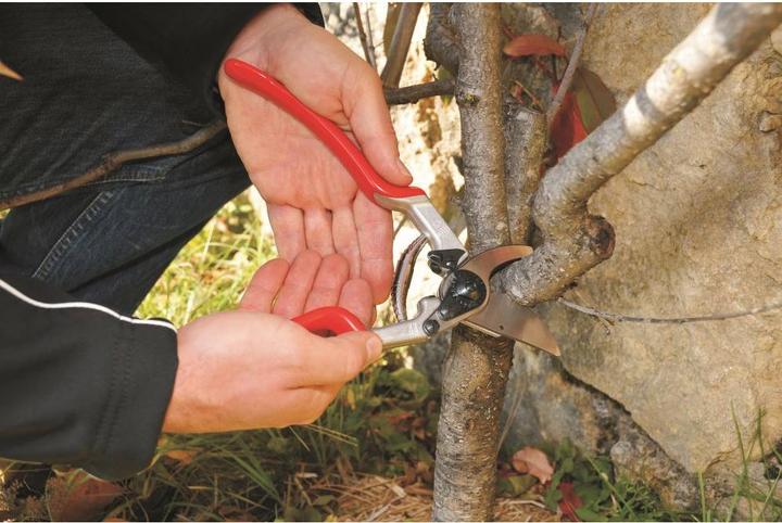 Produktbild Felco Gartenschere 13