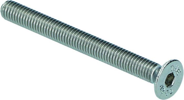 Image du produit Glutz Vis en acier inox M5/60mm (Poignée de porte)