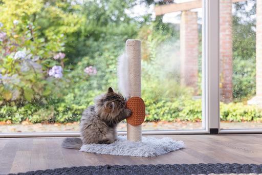 Immagine prodotto Beeztees Pflegehandschuh (Gatto)