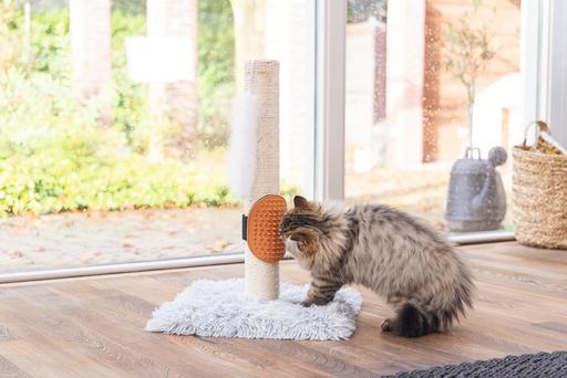 Immagine prodotto Beeztees Pflegehandschuh (Gatto)