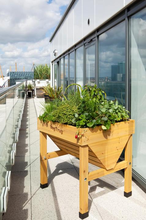 Actual product image VegTrug Planter