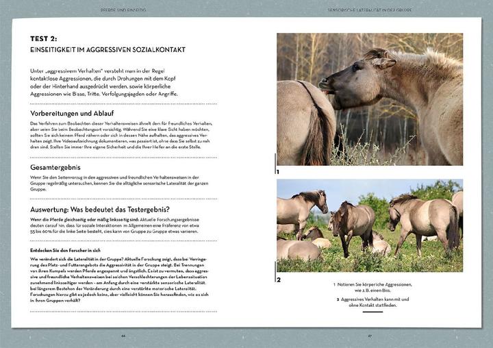 Actual product image Kosmos Lateralität bei Pferden (German, Isabell Marr, Constance Krüger, Farmer, Kate, 2024)