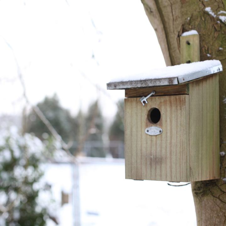 Image du produit Westfalia Nichoir pour oiseaux, mésanges