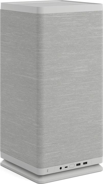 Actual product image Fractal Mood (SFX-L, SFX)
