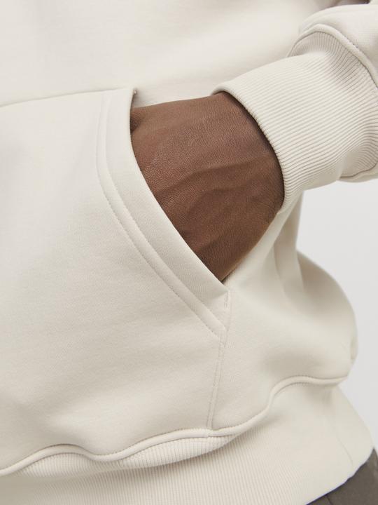 Image du produit Jack & Jones Jjeurban Edge Studio Sweat Hood Noos (M)