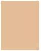 Image du produit L'Oréal Paris vrai match (Beige doré)