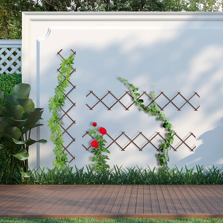 Actual product image Relaxdays 3x trellis (1 cm, 30 cm)
