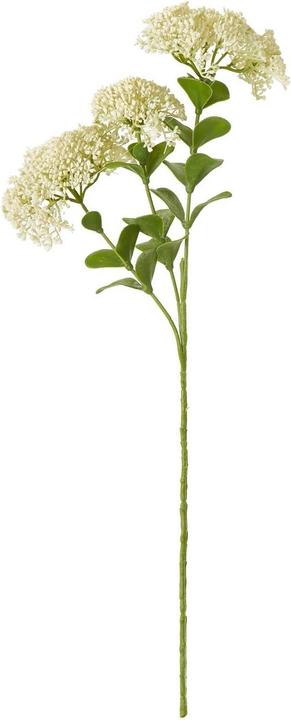 Immagine prodotto Hill Interiors Sedum Spray Fiore Artificiale (58 cm)