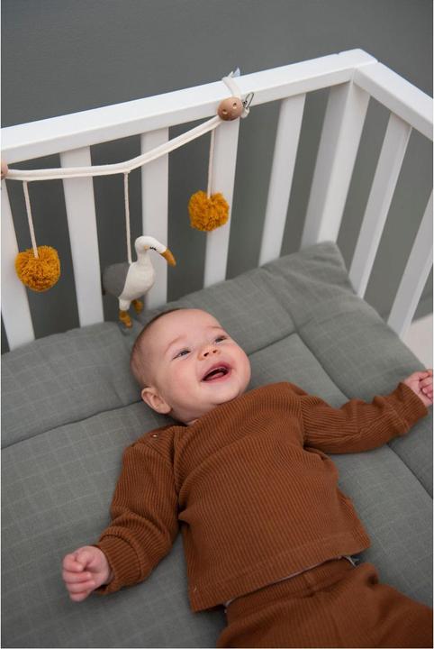 Actual product image Trixie Baby Knitted pram chain