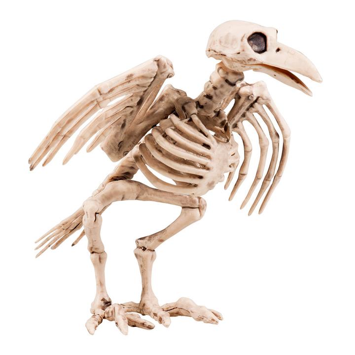 Productafbeelding Boland 10104768 BOL72094 Skeletvogel Decoratie, Wit