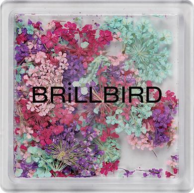 Image du produit BrillBird Floral Art Mix - Twilight (Twilight, Vernis couleur)