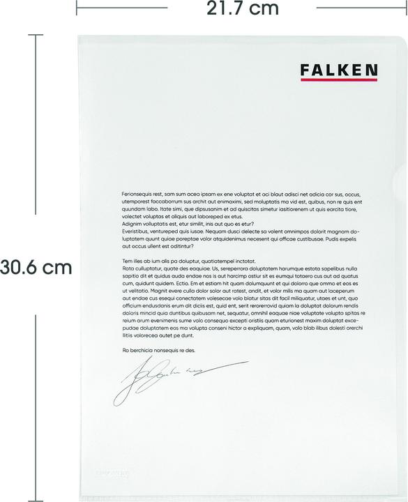 Actual product image Falken 100 Transparent pockets DIN A4 transparent grained 0,12 mm (A4, 100 x)