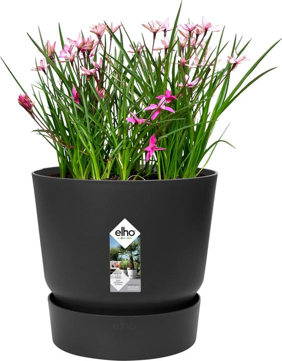 Actual product image Elho Greenville (24.48 cm)
