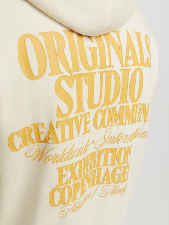 Image du produit Jack & Jones Jorroxbury Back Sweat Hood Ln (M)