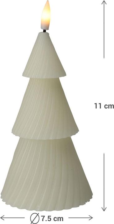 Produktbild LED Echtwachskerze Tanne 11 cr (1 x)