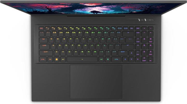 Actual product image Captiva Ultimate Gaming I81-609 Core i9 RTX 4090 (17.30", Intel Core i9-14900HX, 64 GB, 4000 GB, DE)