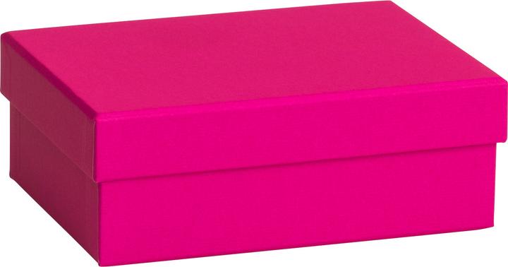 Immagine prodotto Stewo Scatola regalo monocolore (Borsa da regalo, 1 x)