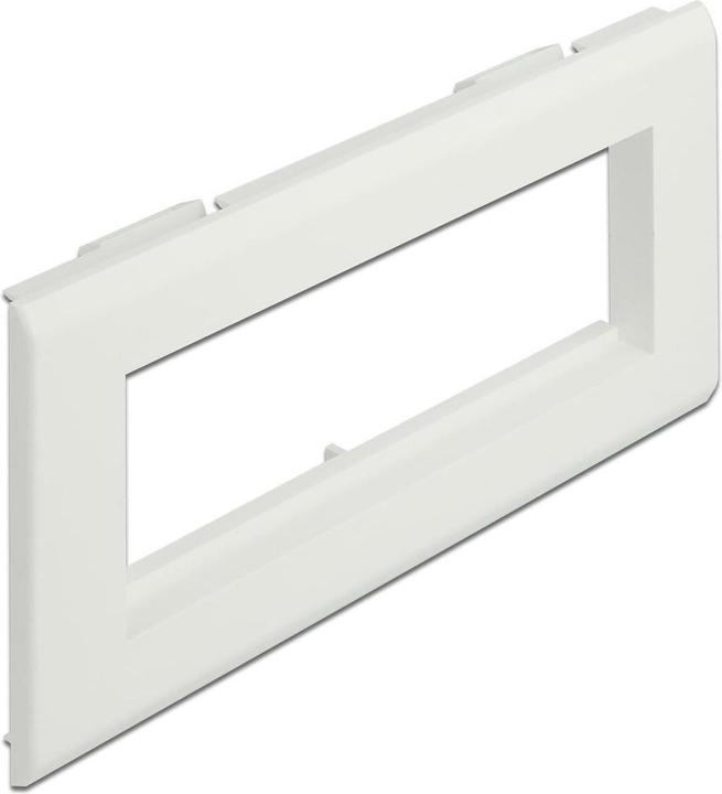 Delock Easy 45 Modulträger für Geräteeinbaukanal 175 x 80 mm (17.50 cm)