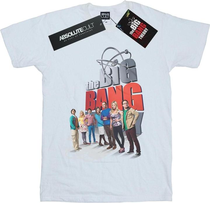 Dam Big Poster Baumwolle Boyfriend TShirt