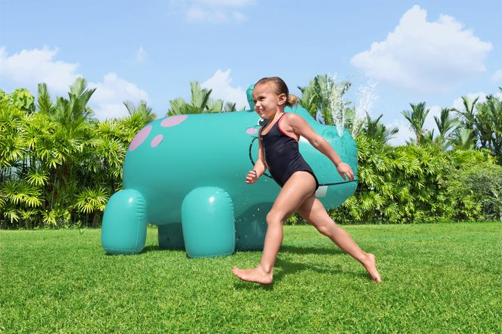 Actual product image Bestway Hippo