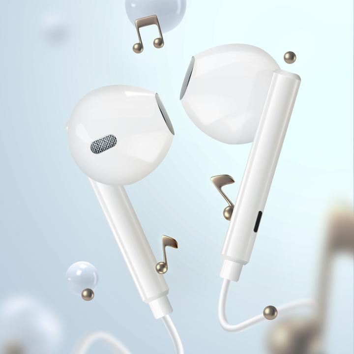 Actual product image Avizar Wired Lightning headphones (Cable)