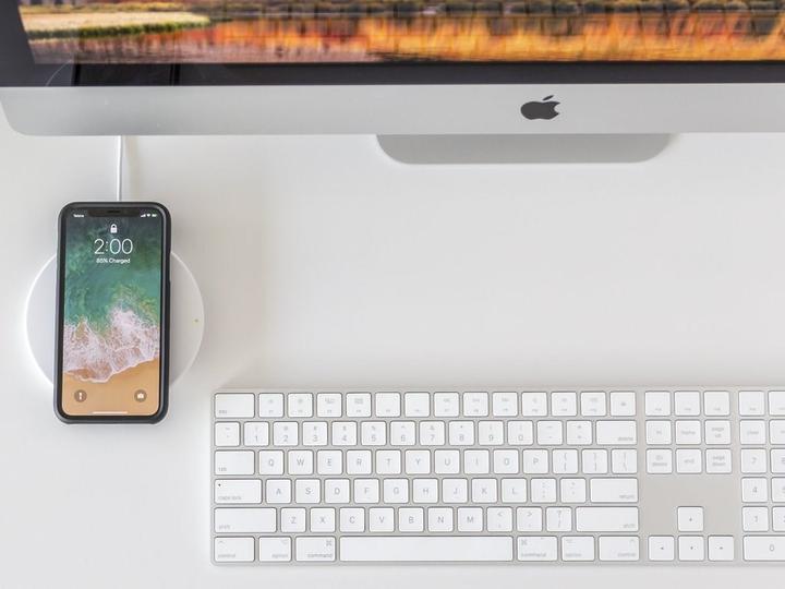 Actual product image Quad Lock Case (Apple iPhone 11)