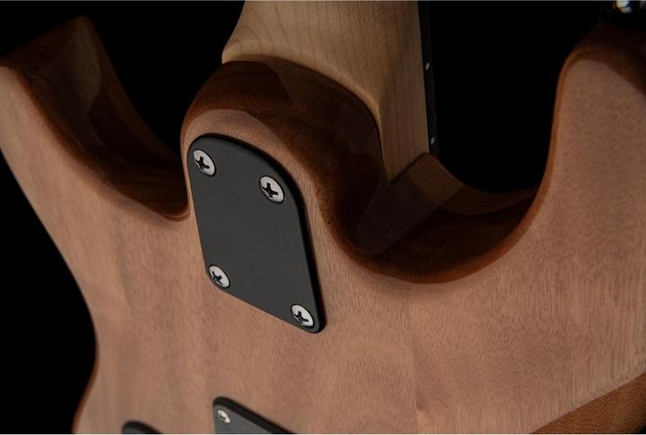 Immagine prodotto PRS SE CE 24 (Chitarra elettrica, Mogano, Palissandro, Acero)