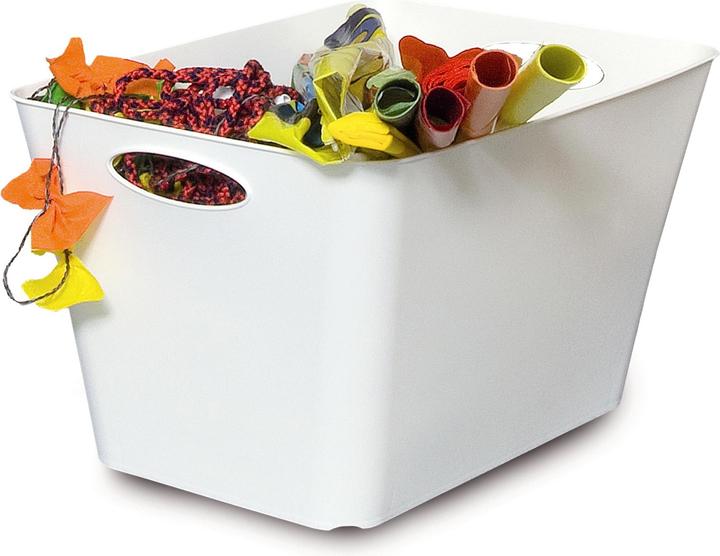 Actual product image Rotho Livingbox (39.5 x 31 x 52.5 cm, 44 l)