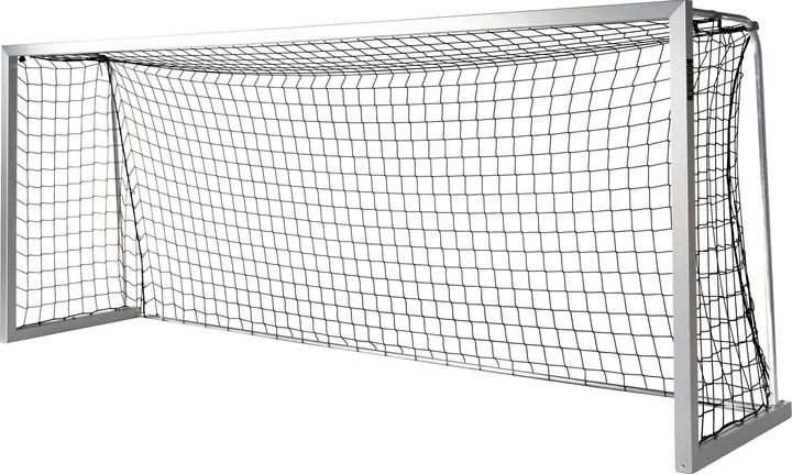 Sport-Thieme Jugend-Fussballtor BlueGoal