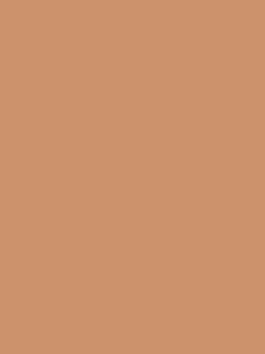 Actual product image Bleuforêt Nude knee-high 12D (One size)